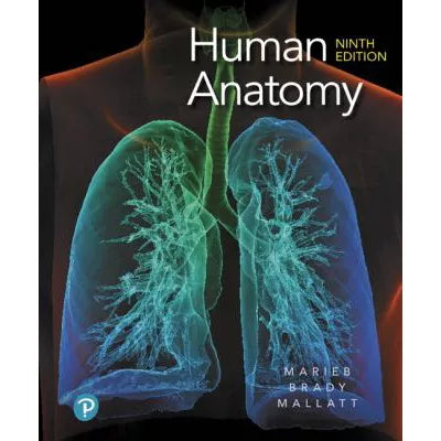 Human Anatomy